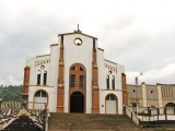 AUDITORIA ESPECIAL AL MUNICIPIO DE PALESTINA